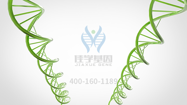 【佳学基因检测】什么人要做PTEN错构瘤肿瘤综合征基因解码、<a href=http://www.jiaxuejiyin.com/tk/jiema/cexujishu/2021/31933.html>基因检测</a>？
