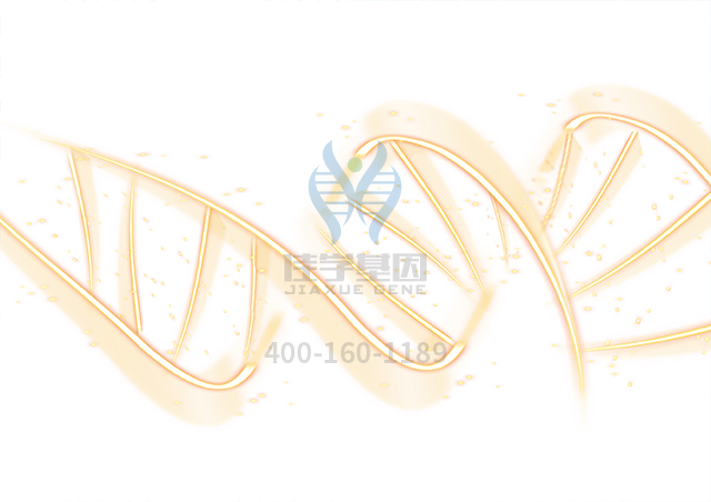 【佳学基因检测】做肺动脉高压基因解码、<a href=http://www.jiaxuejiyin.com/tk/jiema/cexujishu/2021/31933.html>基因检测</a>的费用是多少？
