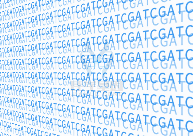 【佳学基因-基因检测】癌症突变类型与蛋白质相互作用