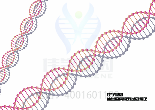 <b><font color='#FF0000'>【佳学基因检测】需要多长时间可以拿振动性荨麻疹基因解码、基因检测报告？</font></b>