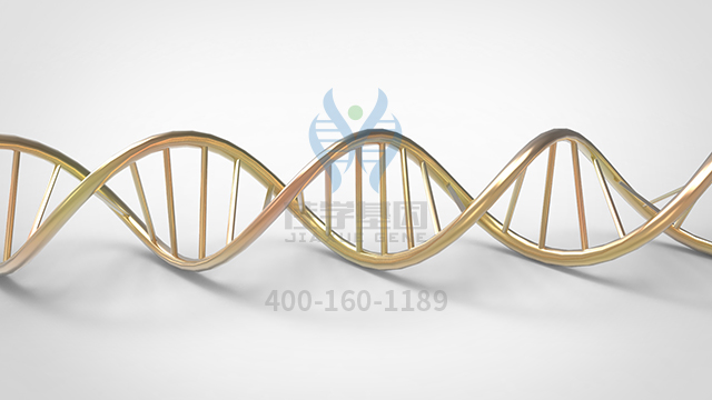 【佳学基因检测】delaChapelle发育不良（骨发育不全症2型）基因解码、<a href=http://www.jiaxuejiyin.com/tk/jiema/cexujishu/2021/31933.html>基因检测</a>可以只做基因解码吗？