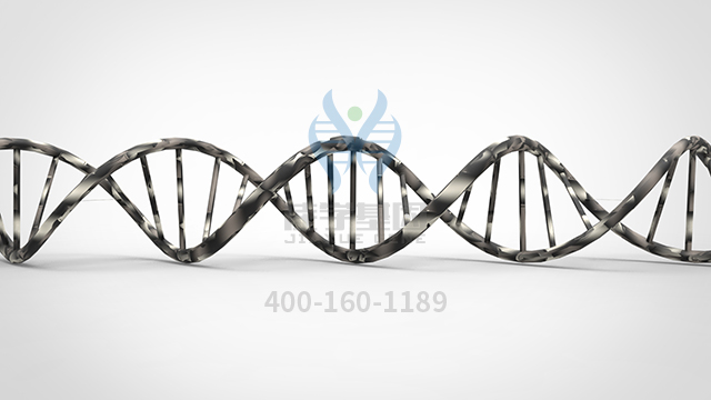 佳学基因精准营养基因检测及个性化定制