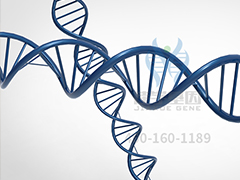【佳学基因检测】做滤泡性甲状腺癌基因解码、<a href=http://www.jiaxuejiyin.com/tk/jiema/cexujishu/2021/31933.html>基因检测</a>的费用是多少？