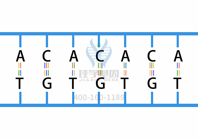 <b>【佳学基因检测】做Netherton综合征基因解码、基因检测需要多少钱？</b>