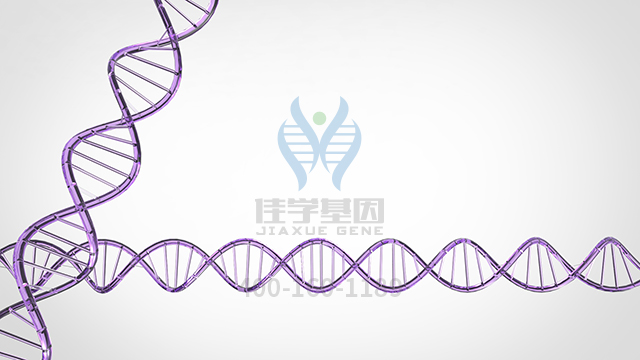 【佳学基因解码】乳腺癌的分类及其基因检测