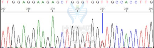 基因解码取代基因检测成为基因行业主流
