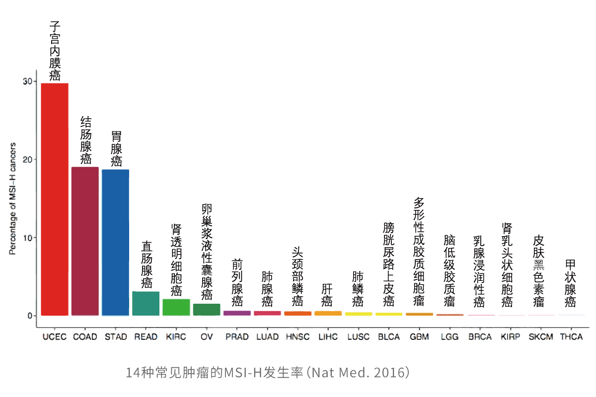 佳学基因官网 基因检测 基因解码 遗传病 肿瘤靶向药 阻断 北京 公司 微卫星不稳定性 Msi 基因检测