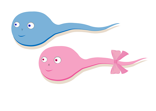 佳学基因】圆头精子症（Globozoospermia）基因解码、基因检测-佳学基因 