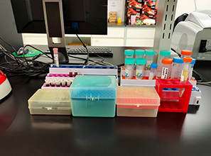 胰腺癌正确治疗，四种类型四种方案