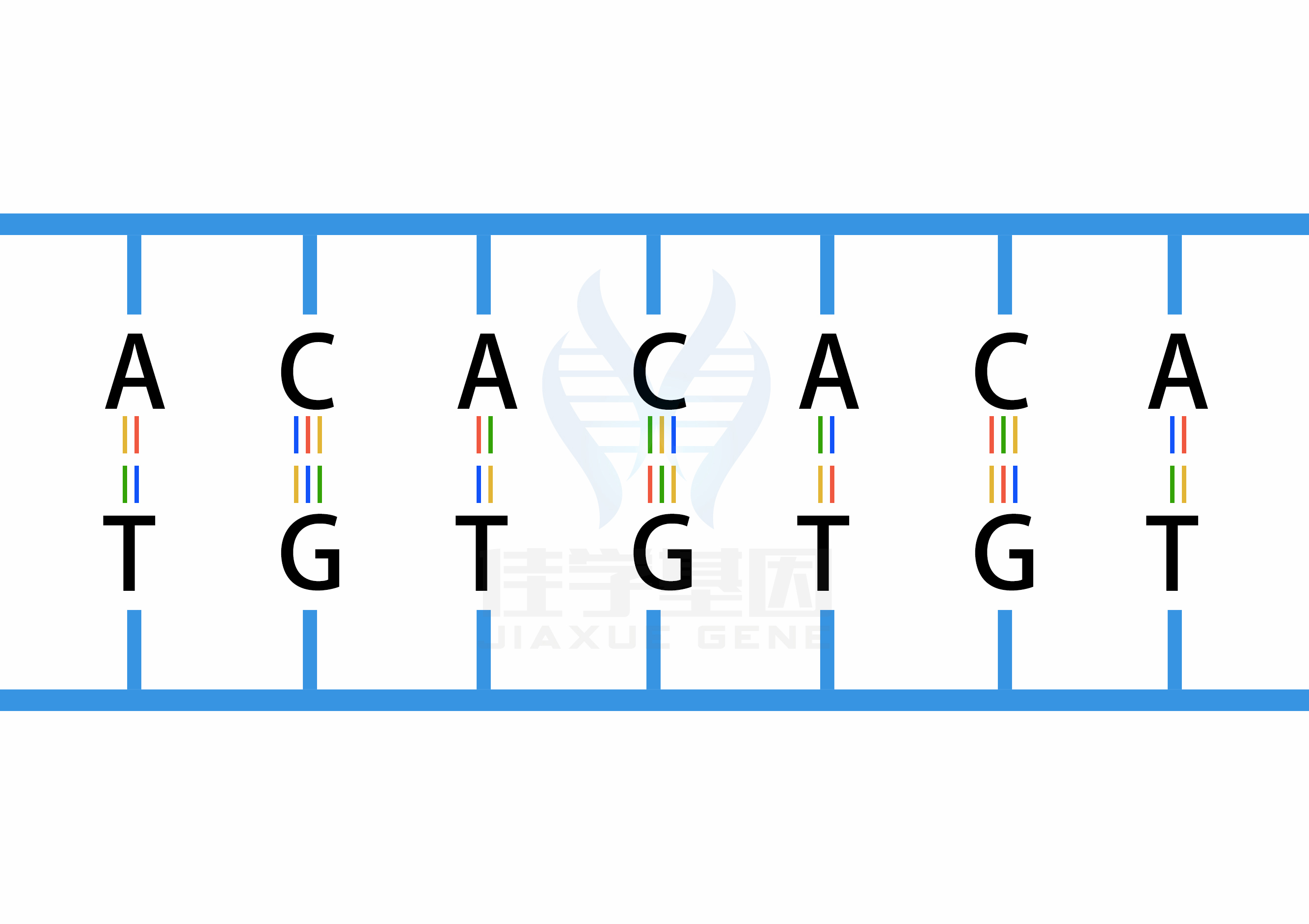 【佳学基因检测】<font color='red'><font color='red'>扩张型</font><font color='red'>心肌病</font></font>羊毛状发和角化病基因解码、基因检测怎么预约解读？