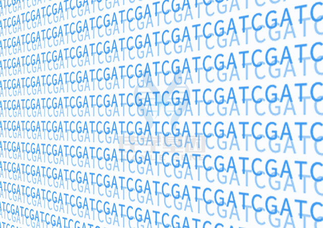<b>【佳学基因检测】临床医学硕士关于SLC25A6基因测试的必备内容</b>