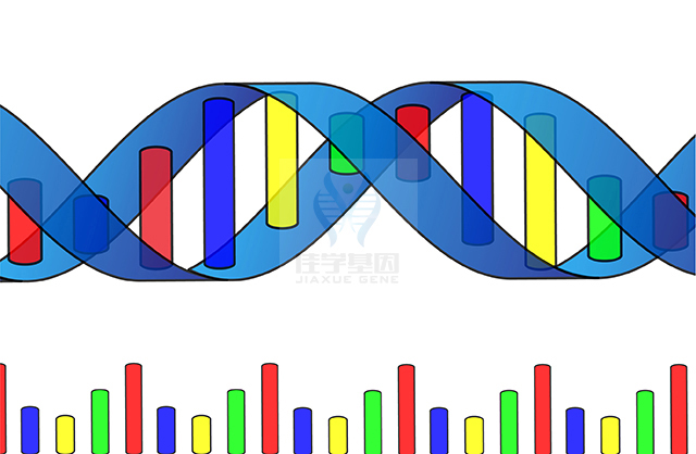 【佳学基因-基因检测】人全基因组重测序简介