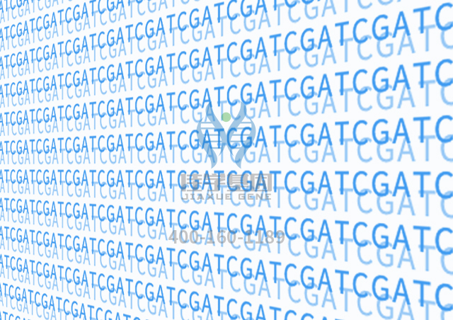 【佳学基因检测】乳糜泻基因解码、<a href=http://www.jiaxuejiyin.com/tk/jiema/cexujishu/2021/31933.html>基因检测</a>有什么用？