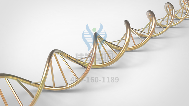 【佳学基因检测】皮质醇生产相关腺瘤基因解码、<a href=http://www.jiaxuejiyin.com/tk/jiema/cexujishu/2021/31933.html>基因检测</a>的报告看得懂吗？