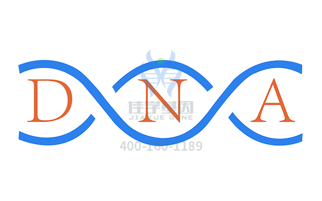 【佳学基因检测】需要多长时间可以拿先天性静止性<font color='red'><font color='red'>夜盲症</font></font>1g型基因解码、基因检测报告？