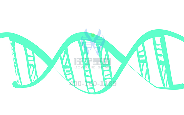 【佳学基因检测】让基因检测结果更加准确的窍门：<font color='red'>MLPA</font>的应用