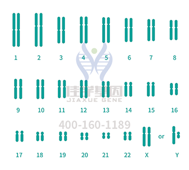 【佳学基因检测】原发性纤毛运动障碍症6型基因解码、<a href=http://www.jiaxuejiyin.com/tk/jiema/cexujishu/2021/31933.html>基因检测</a>的报告看得懂吗？