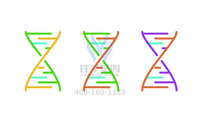 【佳学基因检测】如何做原发性开角型<font color='red'><font color='red'>青光眼</font></font>基因解码、基因检测？