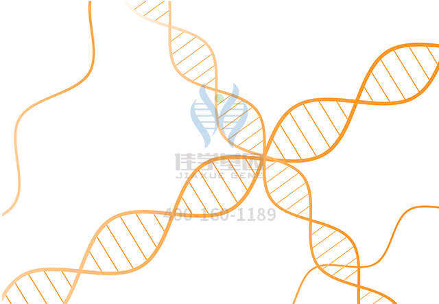 【佳学基因检测】做BirkBa​​rel智力障碍性畸形综合征基因解码、<a href=http://www.jiaxuejiyin.com/tk/jiema/cexujishu/2021/31933.html>基因检测</a>采用什么样品？