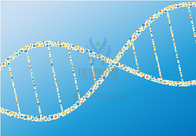 【佳学基因-基因检测】为什么基因解码在查找疾病原因基因检测上更有优势？
