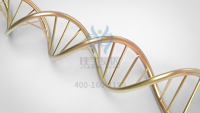 【佳学基因检测】做髓母细胞瘤促结缔织增生的基因解码、<a href=http://www.jiaxuejiyin.com/tk/jiema/cexujishu/2021/31933.html>基因检测</a>采用什么样品？