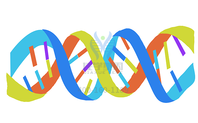 【佳学基因检测】如何区分骨髓增生异常综合症基因解码、<a href=http://www.jiaxuejiyin.com/tk/jiema/cexujishu/2021/31933.html>基因检测</a>?