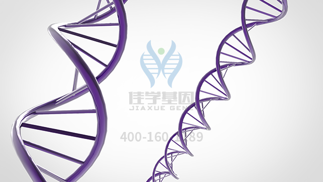 【佳学基因检测】生精障碍Y连锁2型基因解码、<a href=http://www.jiaxuejiyin.com/tk/jiema/cexujishu/2021/31933.html>基因检测</a>的报告看得懂吗？
