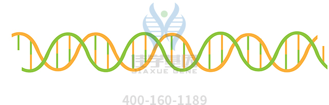 【佳学基因检测】做假性醛固酮减少症I型隐性基因解码、<a href=http://www.jiaxuejiyin.com/tk/jiema/cexujishu/2021/31933.html>基因检测</a>的费用是多少？