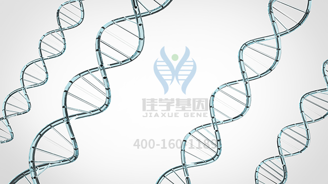 【佳学基因检测】怎么做二氢嘧啶酶缺乏症基因解码、<a href=http://www.jiaxuejiyin.com/tk/jiema/cexujishu/2021/31933.html>基因检测</a>?