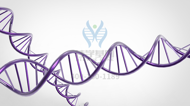 【佳学基因检测】乳腺癌和<font color='red'>结<font color='red'>直肠癌</font></font>易感性基因解码、基因检测报告时间是一样的吗？