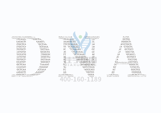 【佳学基因检测】什么人要做由于ADA缺乏导致的SCID延迟发病型基因解码、<a data-cke-saved-href=http://www.jiaxuejiyin.com/tk/jiema/cexujishu/2021/31933.html href=http://www.jiaxuejiyin.com/tk/jiema/cexujishu/2021/31933.html>基因检测</a>?