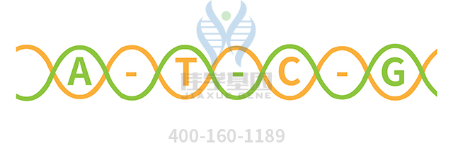 【佳学基因检测】怎么做家族性肥厚型心肌病1型基因解码、<a href=http://www.jiaxuejiyin.com/tk/jiema/cexujishu/2021/31933.html>基因检测</a>?