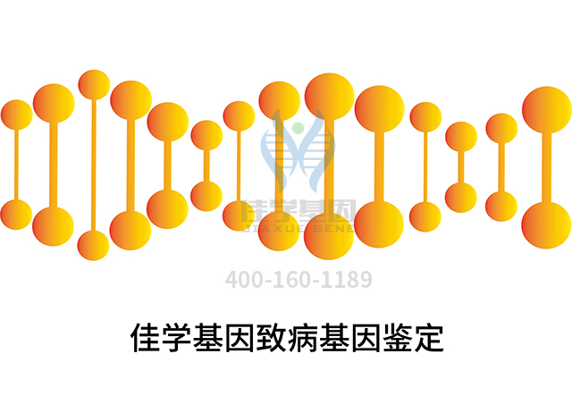 【佳学基因检测】需要多长时间可以拿综合征性智力低下X连锁WU型基因解码、<a href=http://www.jiaxuejiyin.com/tk/jiema/cexujishu/2021/31933.html>基因检测</a>报告？