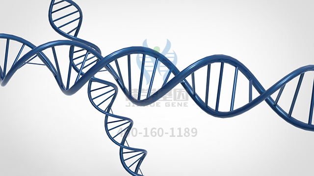 【佳学基因检测】如何区分家族性肥厚型心肌病14型基因解码、<a href=http://www.jiaxuejiyin.com/tk/jiema/cexujishu/2021/31933.html>基因检测</a>？
