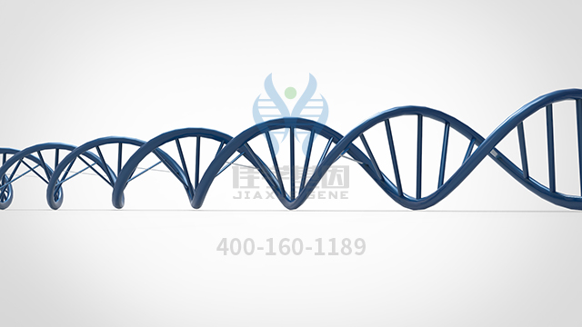 【佳学基因检测】怎样选择痣样基底细胞癌综合征基因解码、<a href=http://www.jiaxuejiyin.com/tk/jiema/cexujishu/2021/31933.html>基因检测</a>？