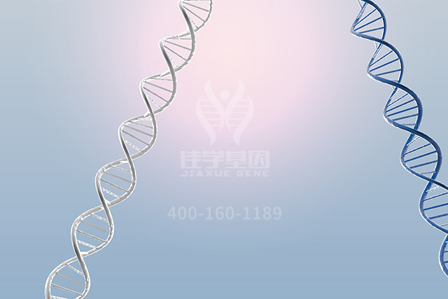 <b>【佳学基因检测】骨科突变检测项目招标中关于APLP1的问题</b>