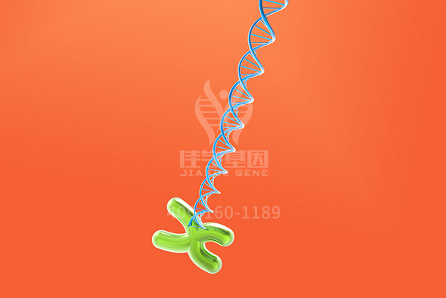 <b>【佳学基因检测】知道ALDH7A1P4的这些内容，是分子病理检测全面性一个准备</b>