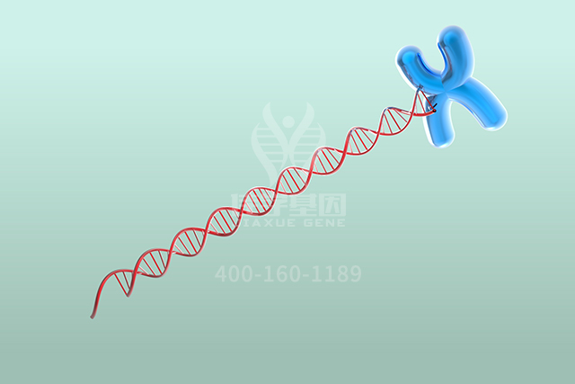 <b>【佳学基因检测】骨科分子病理检测项目招标中关于ART2P的问题</b>