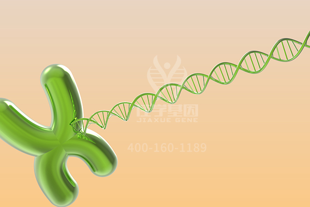 <b>【佳学基因检测】ARSC2基因评估分析找到病因后应该用什么靶向药物？</b>