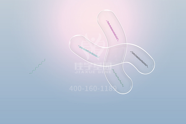 <b>【佳学基因检测】AQP6分子病理检测的人工智能分析进展到什么地步？</b>