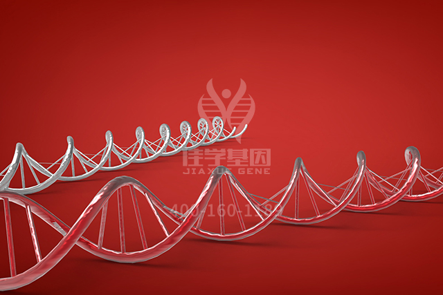 <b>【佳学基因检测】主治医师突变检测ARR3内容要点</b>