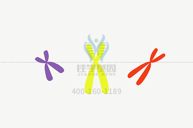 <b>【佳学基因检测】ATP1B3分子病理检测有突变会得什么病？</b>