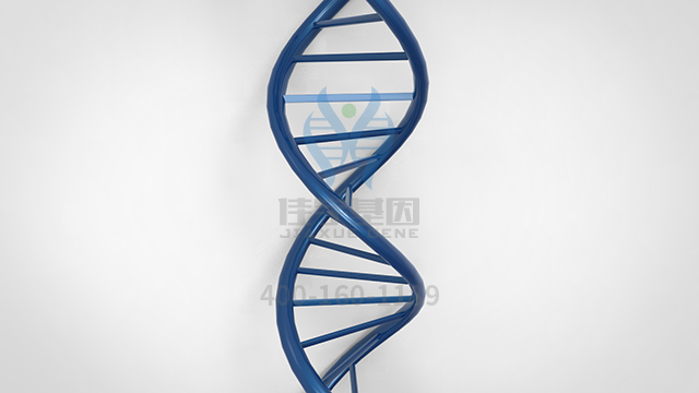 【佳学基因检测】做头皮<font color='red'>脱发</font>基因解码、<a href=http://www.jiaxuejiyin.com/tk/jiema/cexujishu/2021/31933.html>基因检测</a>需要多少钱？