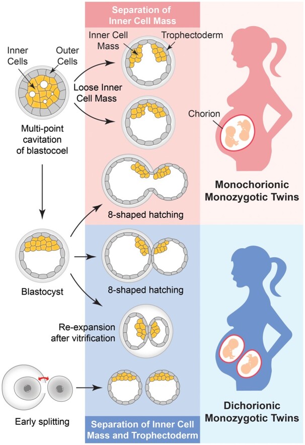 名为 dmae022f4.jpg 的图形文件
