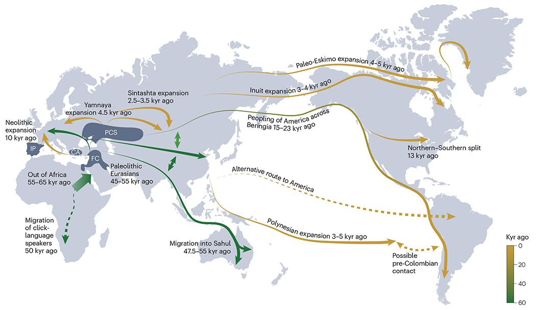 根据基因组数据推断人类迁徙的时间线和路线
