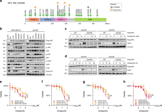 图6医学基因检测如何帮助乳腺癌患者找到靶向药物？