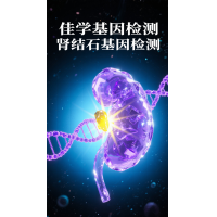【佳学基因检测】肾结石基因检测项目介绍