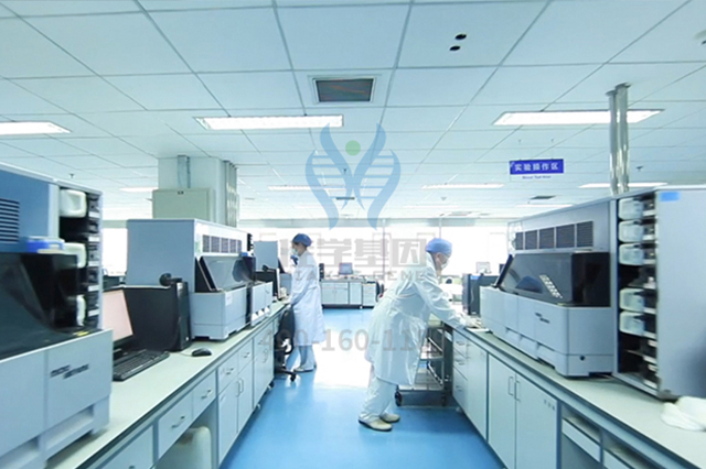 <b>【佳学基因检测】药房主任如何询问关于CDK4的基因检测知识</b>