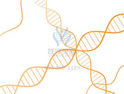 <b>【佳学基因检测】分子病理学中关于CDKN1A的必知必考内容</b>