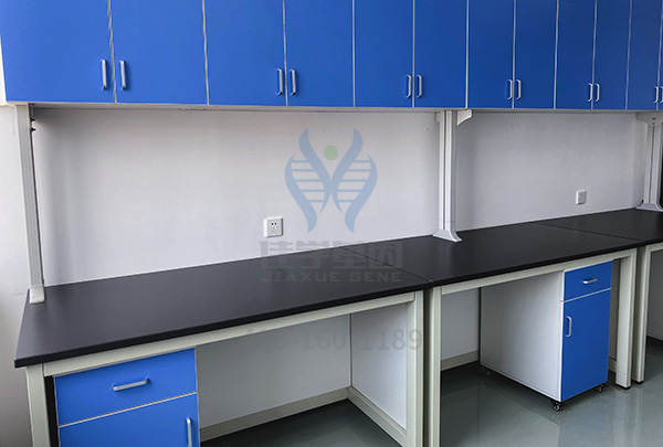 科技部重大课题答辩中关于CDH5一定会问的内容